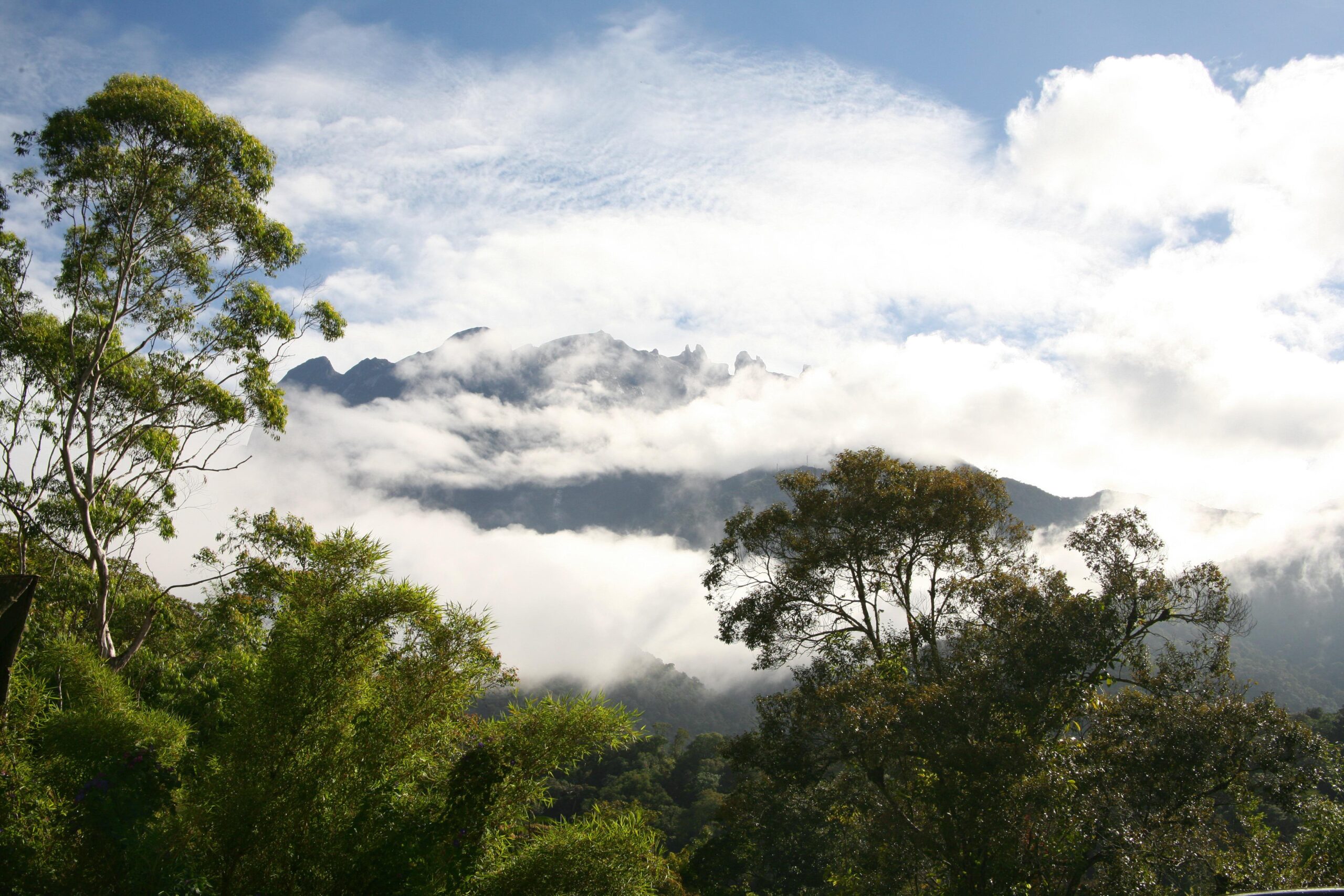 travel agency 26-800